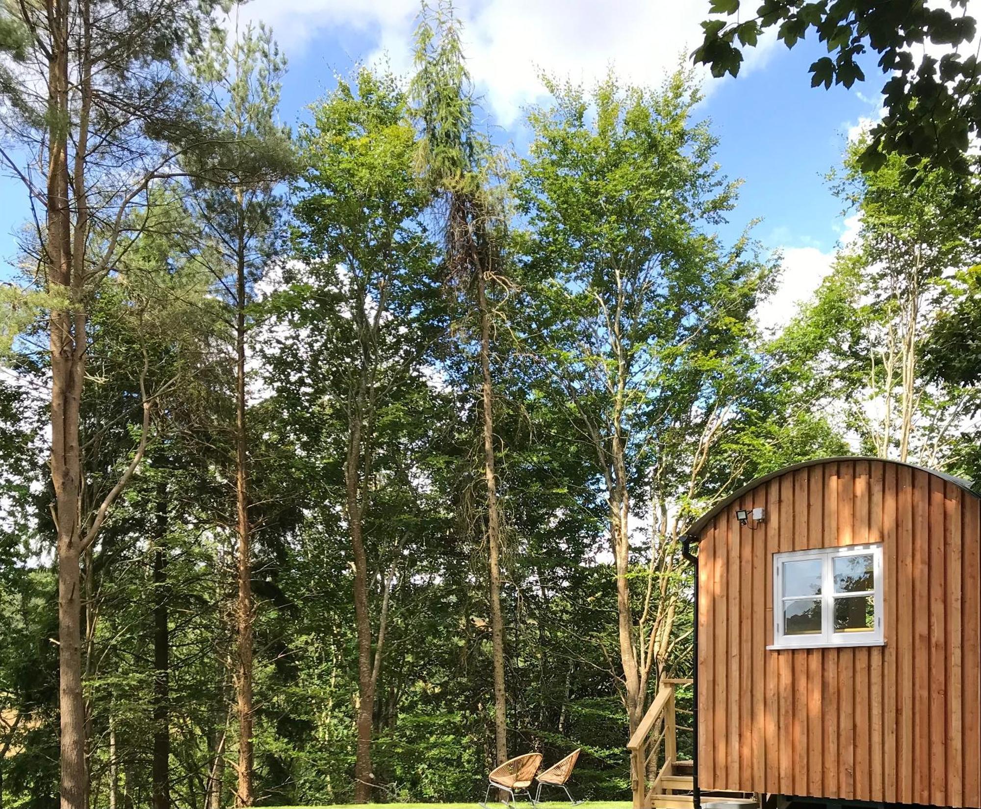 Shepherd'S Hut At Rosewood House Liskeard Eksteriør billede