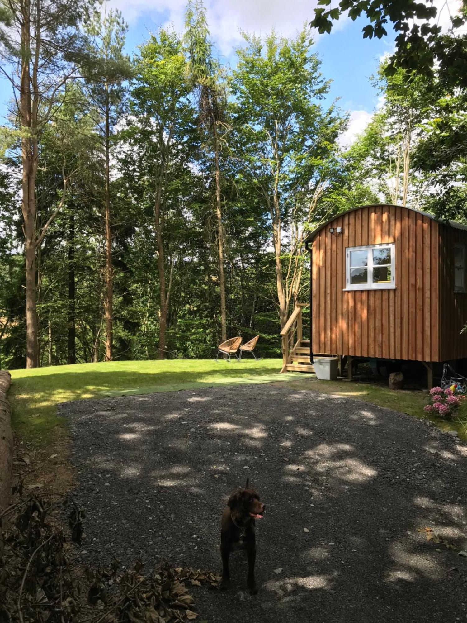 Shepherd'S Hut At Rosewood House Liskeard Eksteriør billede